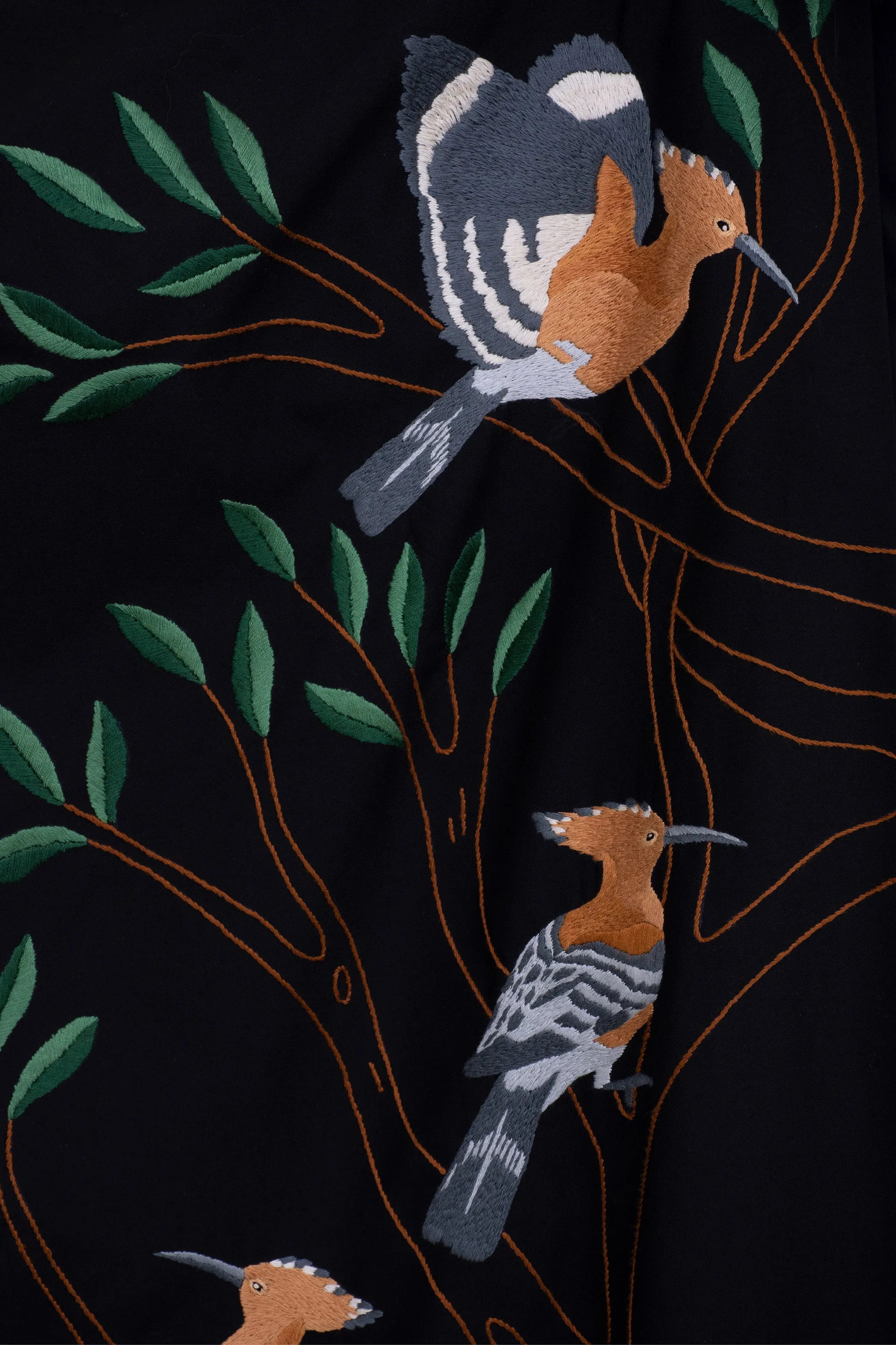 The hoopoe bird