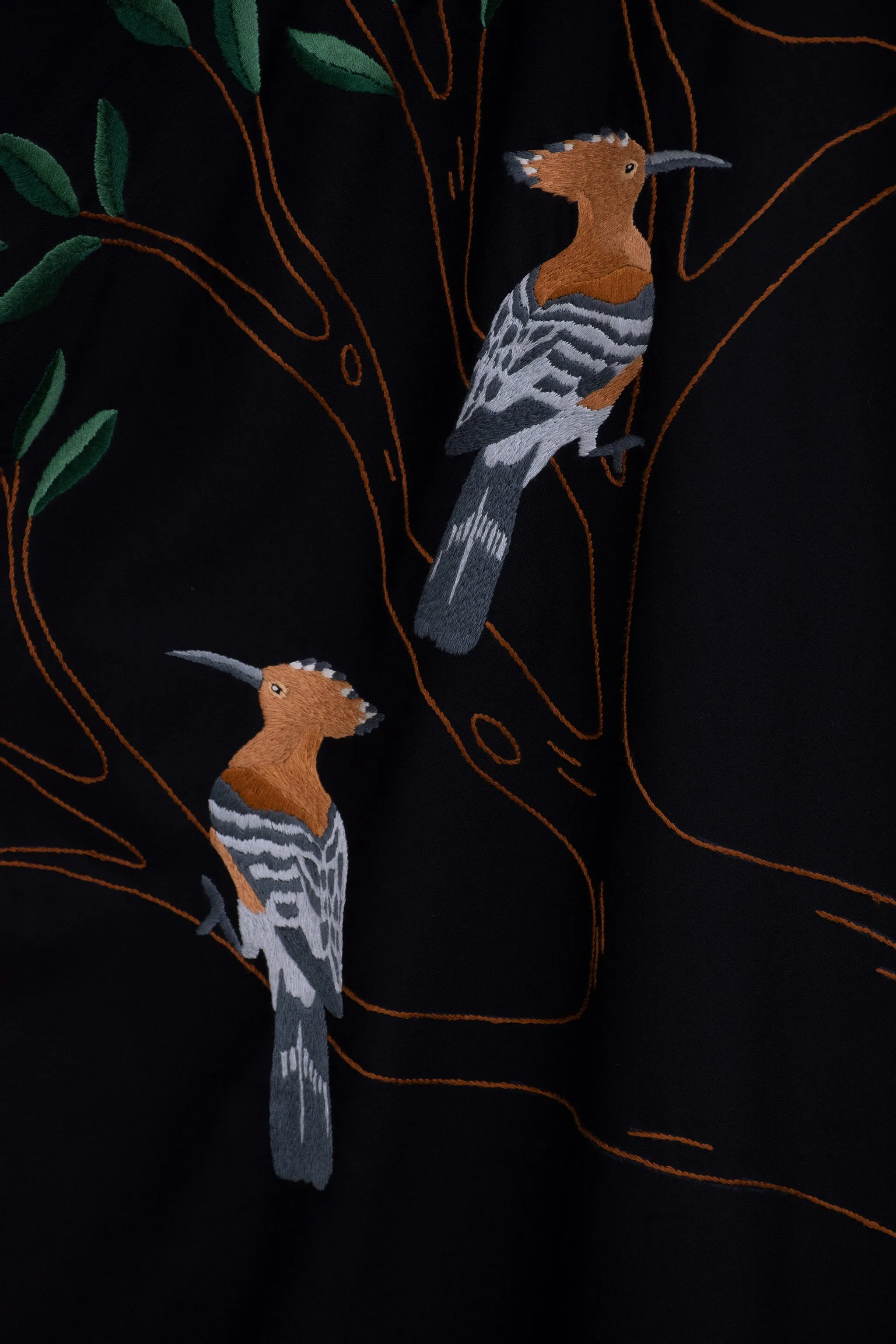 The hoopoe bird