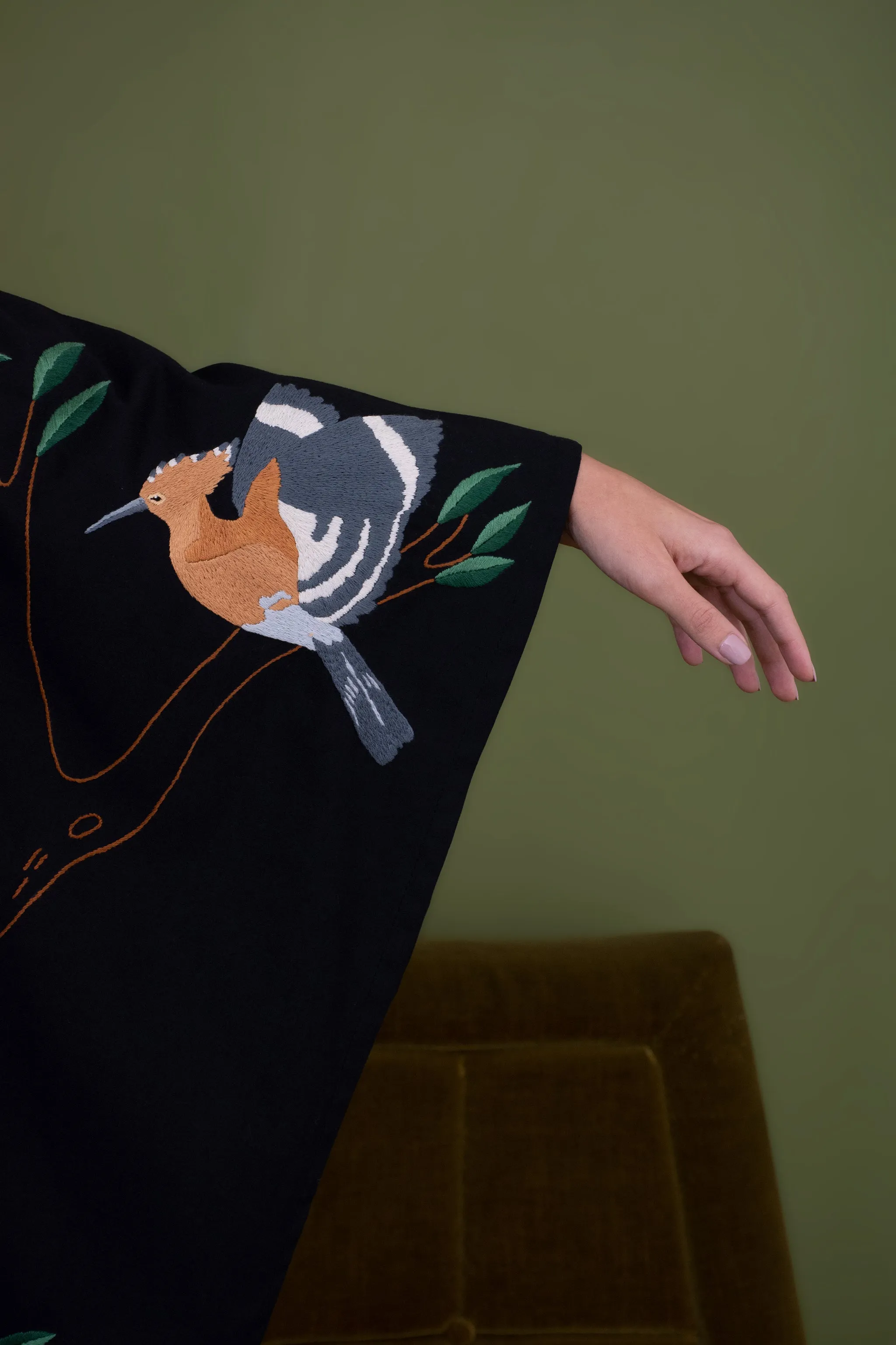 The hoopoe bird