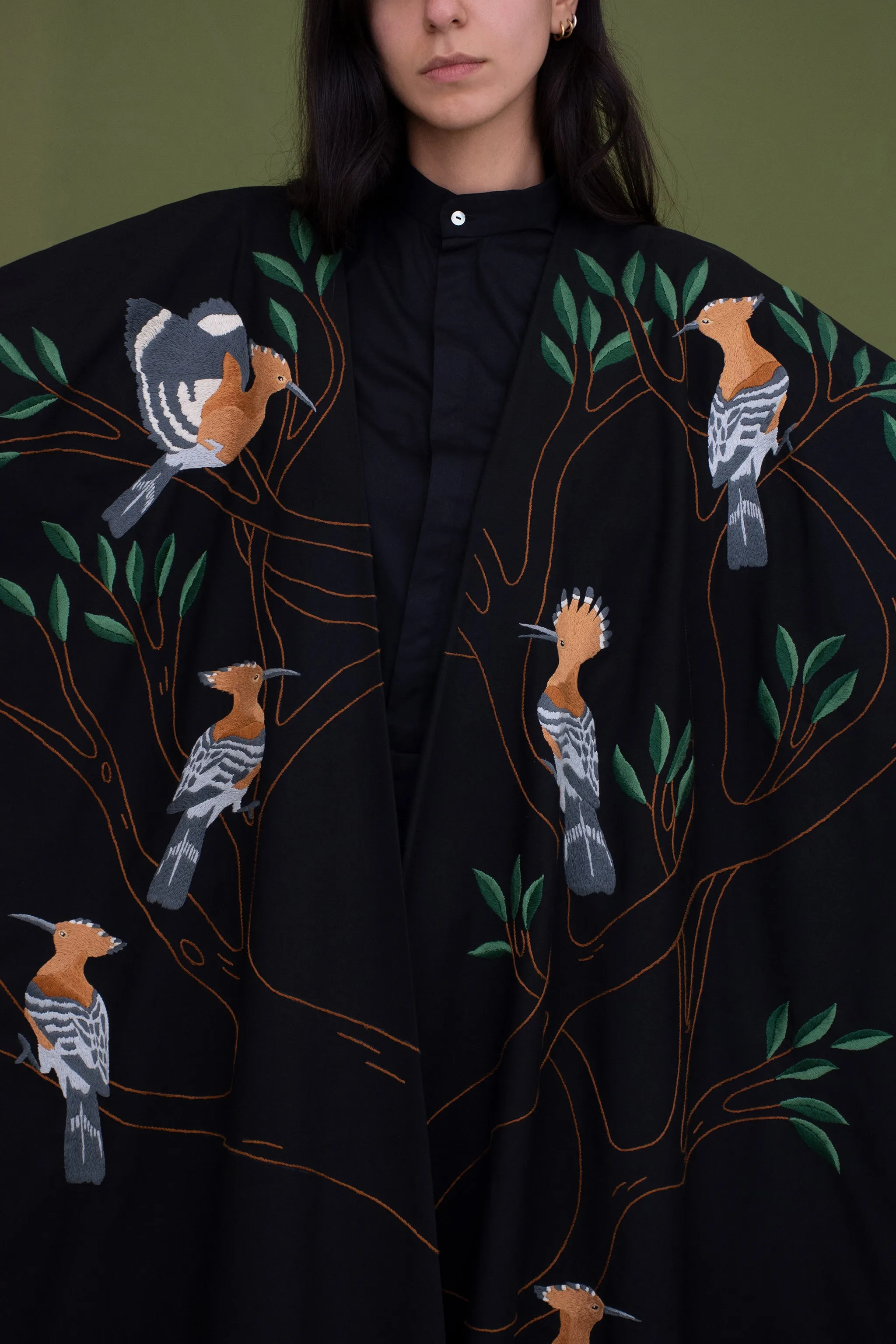 The hoopoe bird
